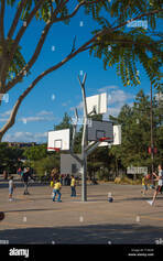 le-voyage-a-nantes-basketballbaum-agence-alta-l-arbre-a-panier-t14k9f.jpeg