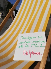 Delphine 2
